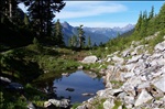 enchanted valley, olympic national park